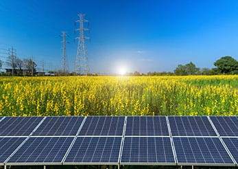 agrivoltaico